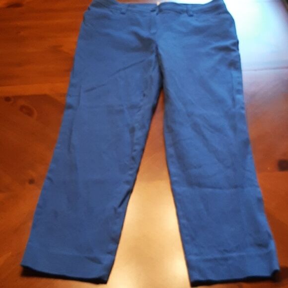 Anne Klein Blue Capris - Picture 2 of 8